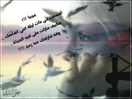 adab lhob